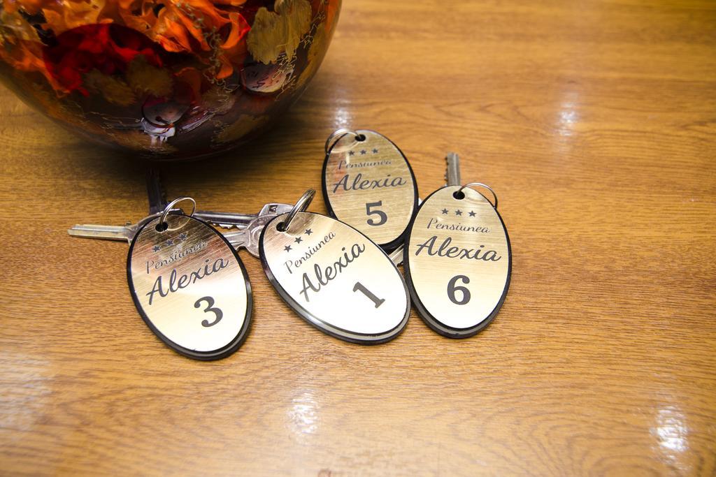 Pension Alexia Сибиу Экстерьер фото